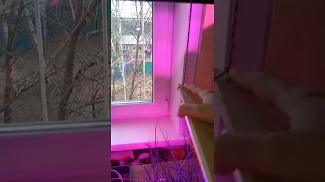 Светильники для растений, как можно установить смотреть онлайн