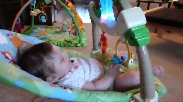 rainforest bouncer смотреть онлайн