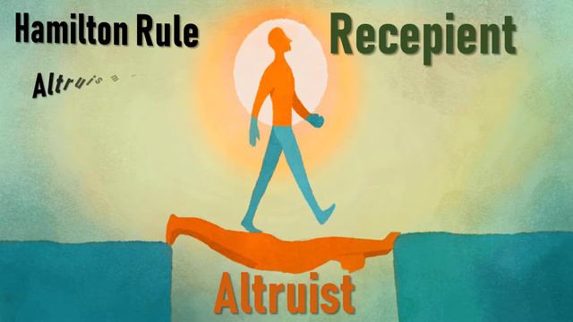 Altruism and Hamilton rule смотреть онлайн