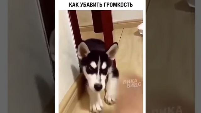 Как убавить громкость?? смотреть онлайн