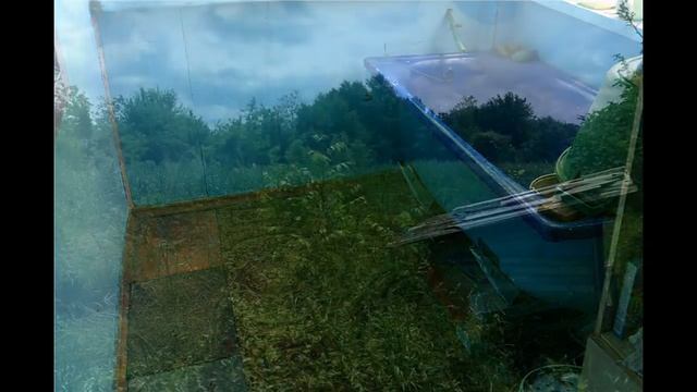 готовый дом в с.Мингрельская Краснодарского края смотреть онлайн