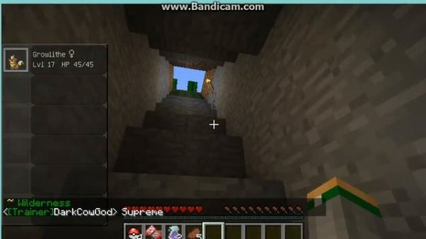 Minecraft Pixelmon №1:Начало начал и первый NYAN PIXELMON!