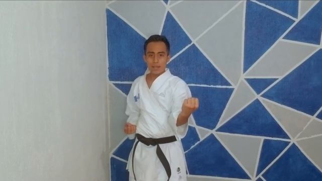 CLASE PARA NIÑOS 8 en CASA APRENDE FACIL KARATE EN VIDEO / KARATE VIDEOS смотреть онлайн