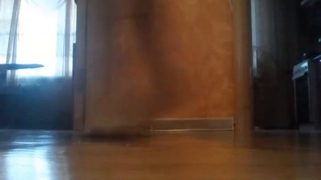 Обучалка шаффла смотреть онлайн