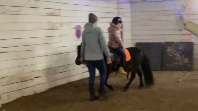 Первое занятие на пони. Обучение верховой езде. КСК «Зелёный остров» смотреть онлайн