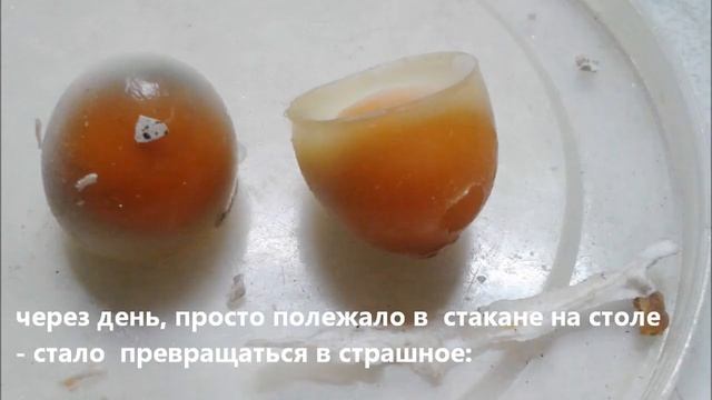 Вареные яйца закаменели на 2 сутки после варки! ФАЛЬШИВЫЕ ПЕРЕПЕЛИНЫЕ ЯЙЦА смотреть онлайн