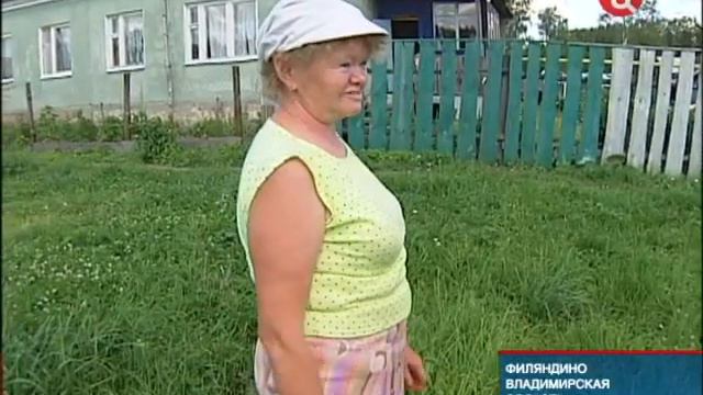 «Деревянный Диснейленд» смотреть онлайн