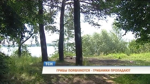 За неделю в лесах Пермского края потерялись три человека смотреть онлайн