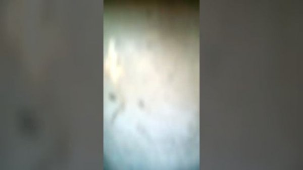 снятие кардана мерседес w 210 Removing the cardan Mercedes w 210