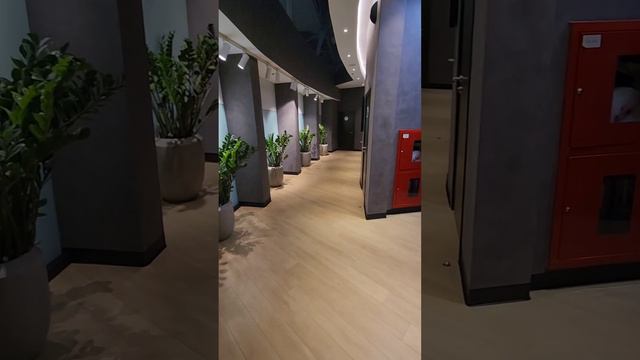 Бизнес Зал Art lounge Аэропорт Внуково #внуково #аэропорт #бизнесзал #Artlounge #Шереметьево смотреть онлайн