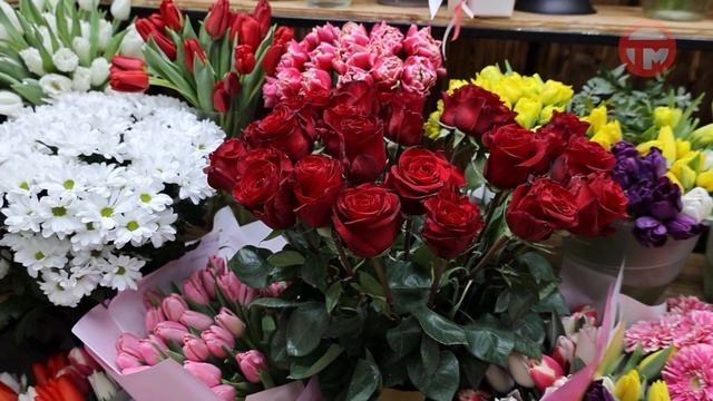 Мимозу заменили тюльпаны смотреть онлайн