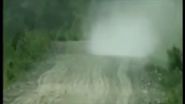 вырубка лесов смотреть онлайн