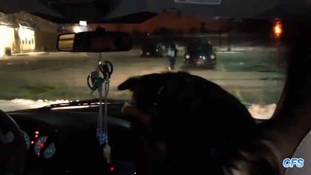 Гениальные изобретения дилетантов