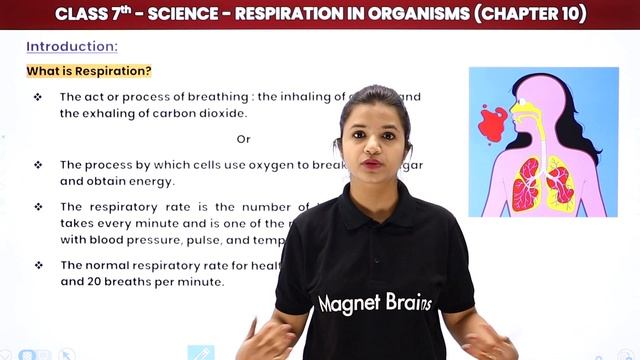 Class 7 Science Chapter 10 | Respiration in Organisms - Introduction смотреть онлайн