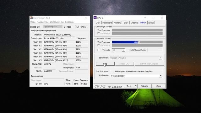 Ryzen 5 5600g In CPU Z
