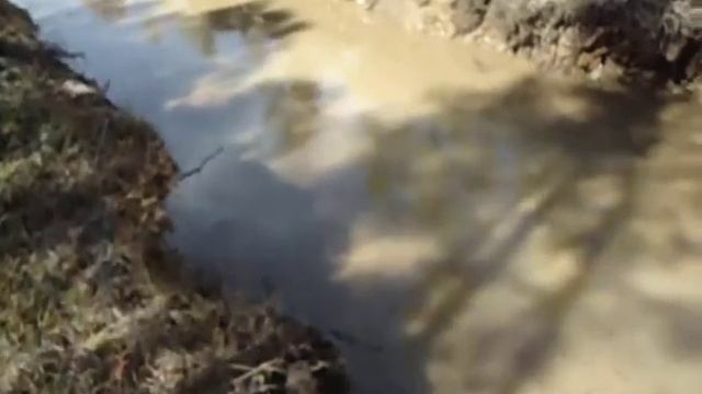 Сбрасываем воду из канавы-2 (06.09.12).AVI смотреть онлайн