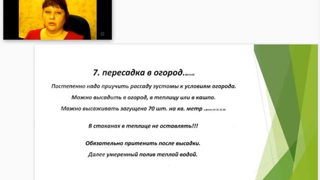 Выращивание эустом из семян. Посев, уход, полив, подкормки, сбор своих семян. Матвеева Оксана смотреть онлайн