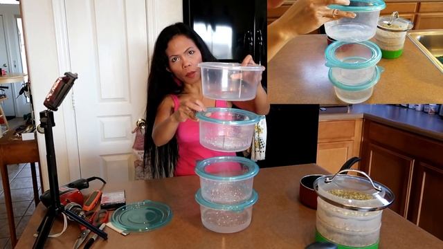 Sprouting Tray DIY - How To Make Your Own Sprouting Tray Under $2 смотреть онлайн