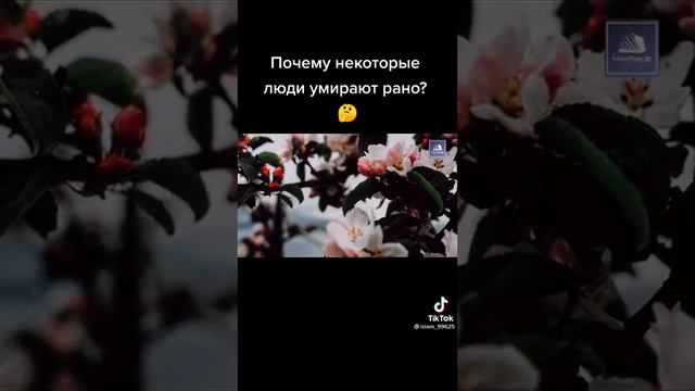 некоторые люди умирают рано, почему? смотреть онлайн
