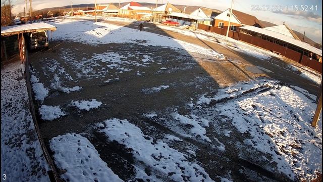 Взгляд со стороны Драки Собак с камер Видеонаблюдения. Причина ЧП. Питбуль Спайк и КИми подрались смотреть онлайн