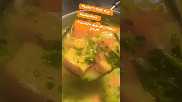 Homemade Chicken And Veggie Soup #soup #shortvideo  #chickensoup￼  #comfortfood #diyfoods