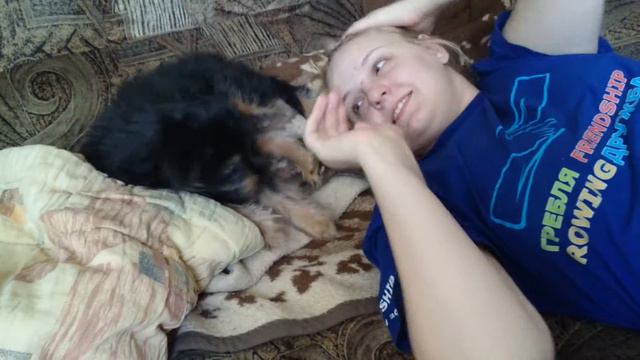 Игра с щенком смотреть онлайн