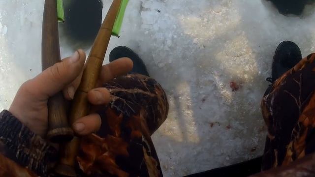 ЗИМНЯЯ РЫБАЛКА НА МАХАЛКУ! ЛЮТЫЕ ЩУКИ РВУТ СНАСТИ! смотреть онлайн