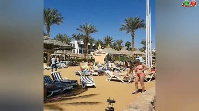 обзор - Queen Sharm Resort 4* (Бюджетный отель на 1 линии)...
