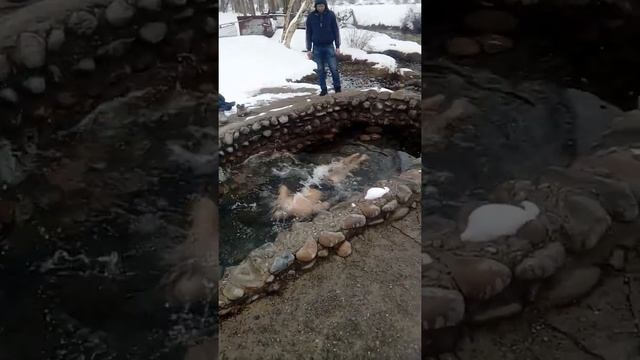 Купание зимой в святом источнике. смотреть онлайн