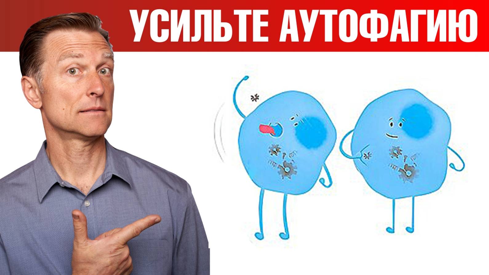 7 способов усилить аутофагию. Кому аутофагия может навредить?😲