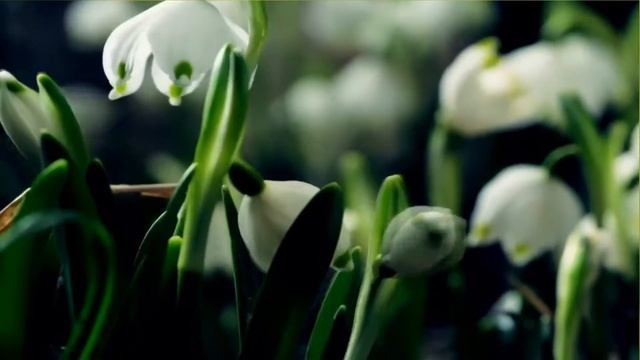 Забытое чувство во мне смотреть онлайн