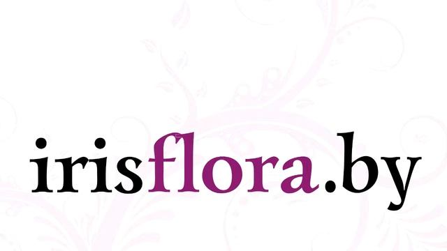 Служба доставки цветов Irisflora.by смотреть онлайн