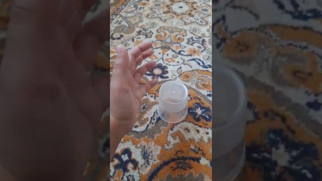 англиски пирог ням ах ты паразит бульк? #р_е_к_о_м_е_н_д_а_ц_и_и_ #рек #тренды #рекомендации смотреть онлайн