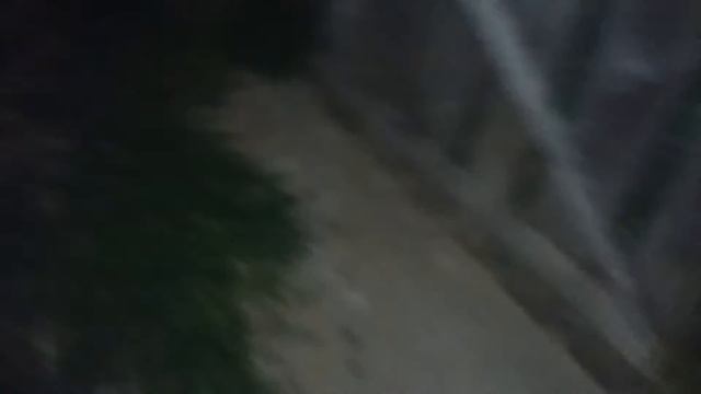 Поймал 4 лягушки за 1 вечер. 3 возле дома и 1 на огороде. смотреть онлайн
