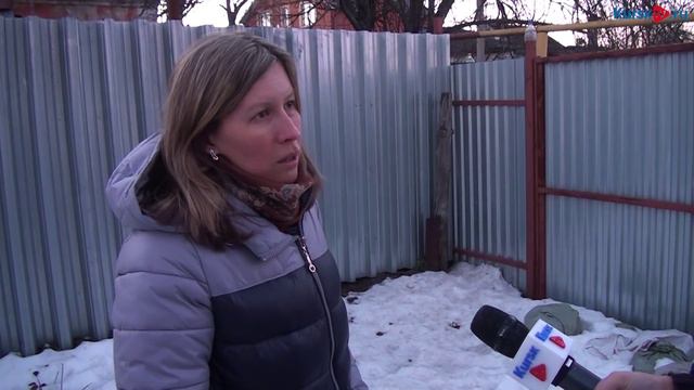 Курские волонтеры  спасли щенков от отстрела