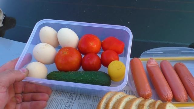 ?СГОРЕЛО ПОЛ ДЕРЕВНИ / НАШЛИ СЕРЕБРО И СТАРИННЫЕ МОНЕТЫ смотреть онлайн