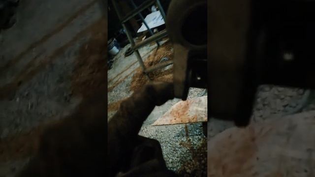 Самодельный квадроцикл с акпп рулевое упровление смотреть онлайн