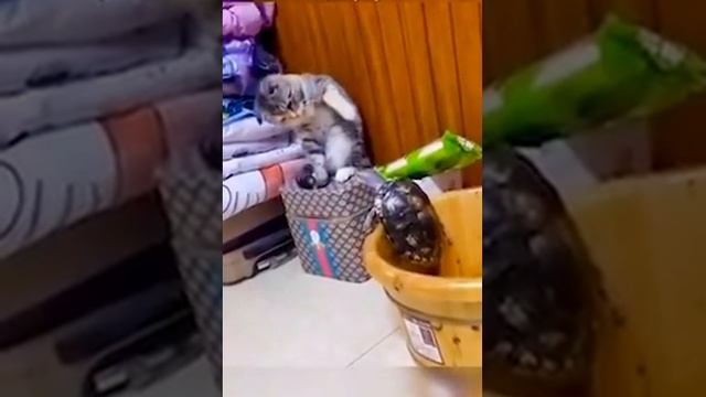 Скидышь смотреть онлайн