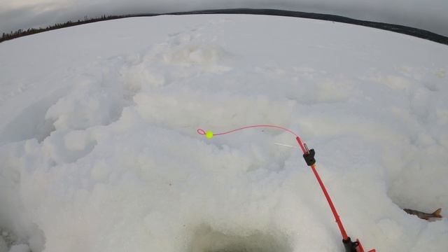 УДАЧНАЯ ЗИМНЯЯ РЫБАЛКА / SUCCESSFUL WINTER FISHING смотреть онлайн