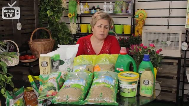 Трава для газона ? Как выбрать газон? Полевица ? Овсяница ? Мятлик