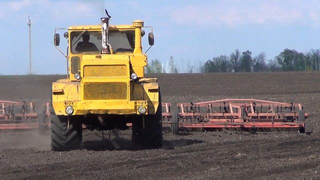 Культивация поля трактором К 701 смотреть онлайн