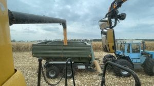 Уборка кукурузы. Комбайн New Holland CX 8.80 с жаткой Capello Diamant 8.