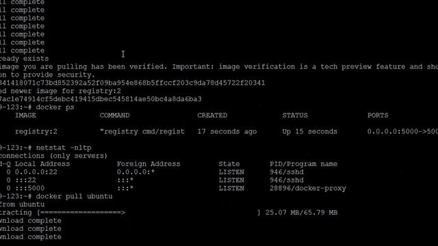 Docker Private Registry смотреть онлайн