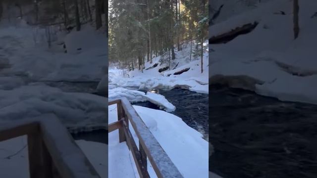 Река в Лесу #топ #рекомендации #top#деревня#лес#красота#воздух#гуляю смотреть онлайн