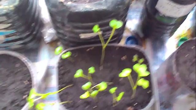 Ремонтная Интрига