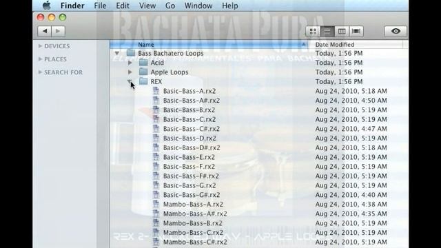 Bachata Pura Loops Samples WAV REX Apple Guitar Bass FL Studio Cubase Pro tools смотреть онлайн