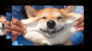 Я привык улыбаться людям!!! Песня