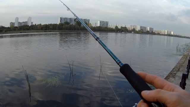 Norstream Proxima. НЕФОРМАТ.Обзор