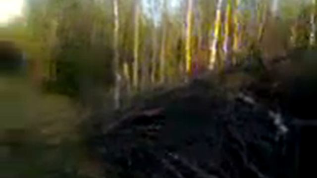 леший на куче деревьев смотреть онлайн