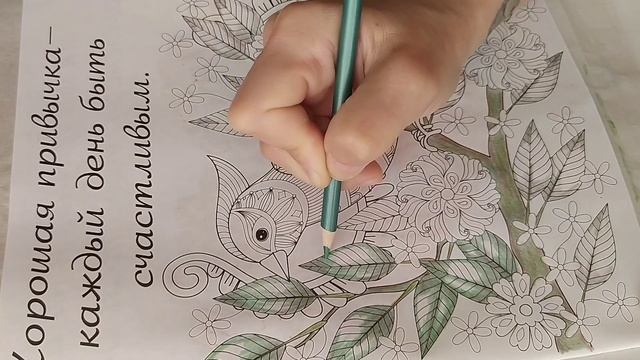 КАК РАСКРАСИТЬ ЛИСТЬЯ / ЗЕЛЕНЬ ЦВЕТНЫМИ КАРАНДАШАМИ (фоновая раскраска) смотреть онлайн
